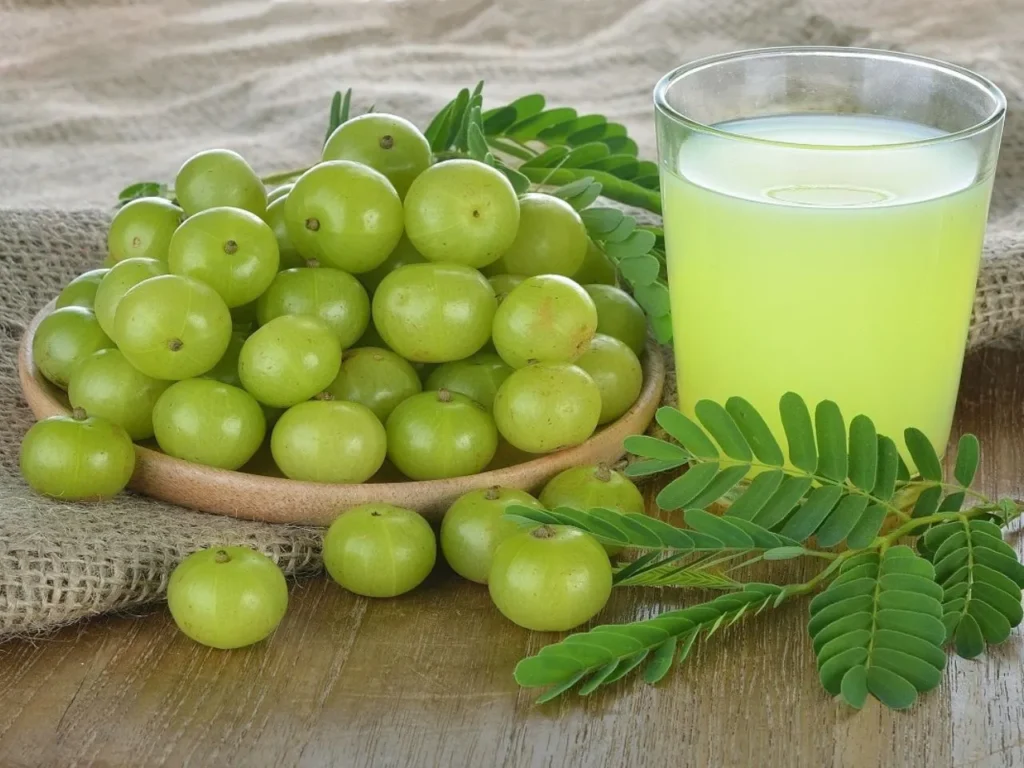 health benefits of amla juice