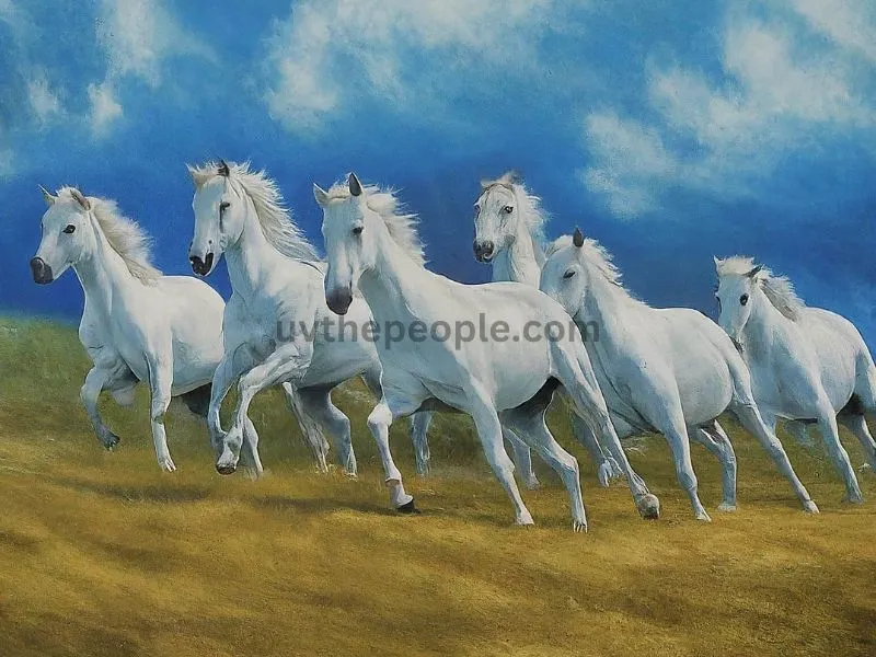 running-white-horses