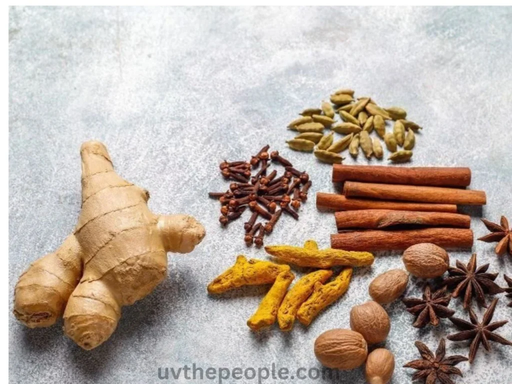 Herbs and spices for winter