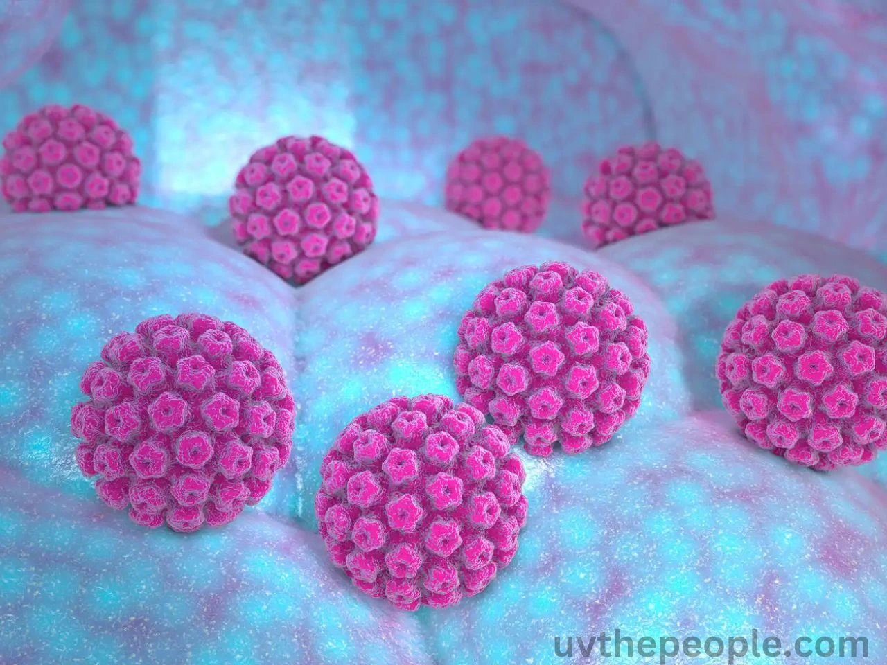 HMPV virus in hindi