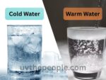 Cold Water vs Warm Water